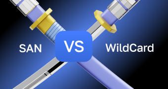 What are SAN or Wildcard options in an SSL certificate, and why are they needed?